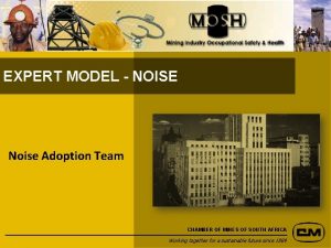 EXPERT MODEL NOISE Noise Adoption Team CHAMBER OF