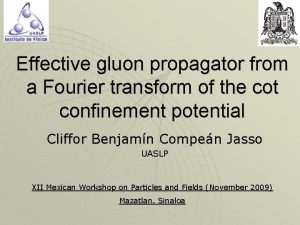 Gluon propagator