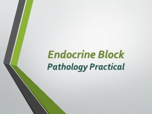Endocrine Block Pathology Practical Normal Anatomy Histology Pathology