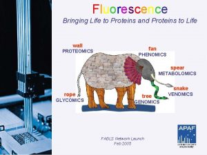 Fluorescence Bringing Life to Proteins and Proteins to