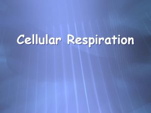 Cellular Respiration Cellular Respiration A process that uses