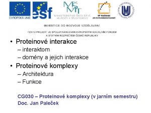 Proteinov interakce interaktom domny a jejich interakce Proteinov