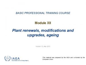 BASIC PROFESSIONAL TRAINING COURSE Module XII Plant renewals