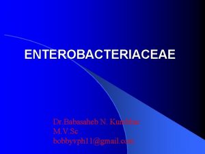 ENTEROBACTERIACEAE Dr Babasaheb N Kumbhar M V Sc