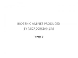 BIOGENIC AMINES PRODUCED BY MICROORGANISM Minggu3 v B
