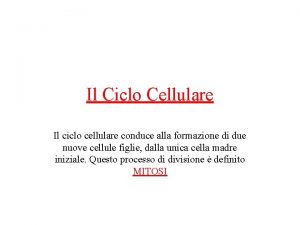 Il Ciclo Cellulare Il ciclo cellulare conduce alla