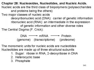 Chapter 28 Nucleosides Nucleotides and Nucleic Acids Nucleic