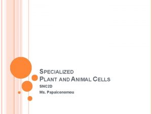 SPECIALIZED PLANT AND ANIMAL CELLS SNC 2 D