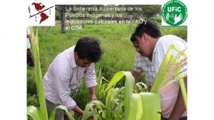 Diversidad biologica y cultural