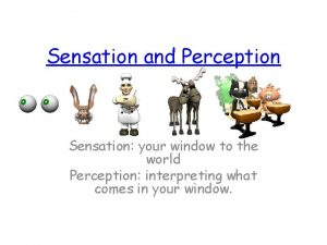 Sensation and perception