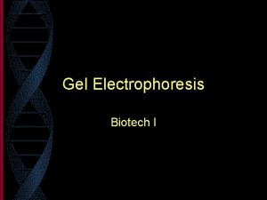 Gel Electrophoresis Biotech I Gel Electrophoresis Definition the