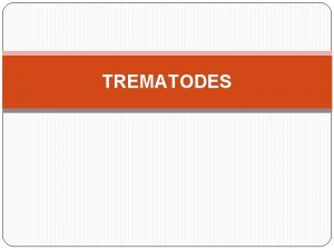 TREMATODES INTRODUCTION Trematodes are unsegmented helminths Flat broad