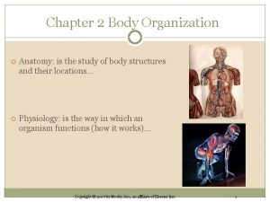 Chapter 2 Body Organization Anatomy is the study