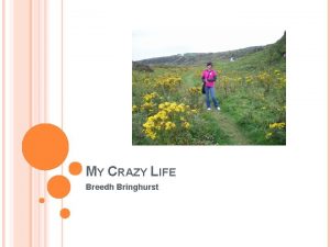 MY CRAZY LIFE Breedh Bringhurst WHAT AM I