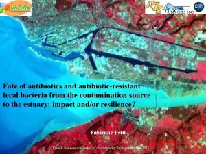 UMR CNRS 6143 Fate of antibiotics and antibioticresistant
