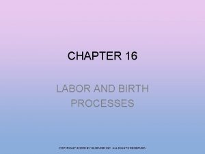 CHAPTER 16 LABOR AND BIRTH PROCESSES COPYRIGHT 2016