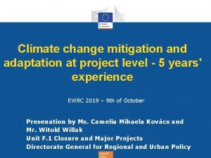 Climate change mitigation and adaptation at project level