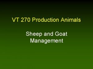VT 270 Production Animals Sheep and Goat Management