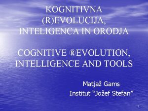 Kognitivna revolucija