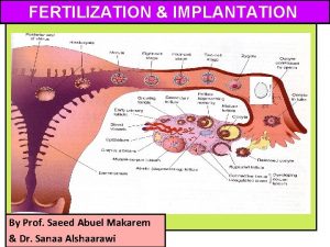 FERTILIZATION IMPLANTATION By Prof Saeed Abuel Makarem Dr