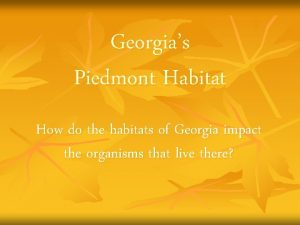 Georgias Piedmont Habitat How do the habitats of