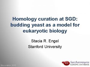 Homology curation at SGD budding yeast as a