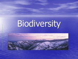 Biodiversity Bio What Biodiversity is the variety of