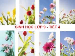 SINH HC LP 9 TIT 4 KIM TRA