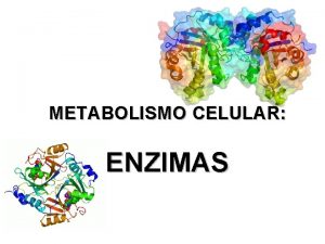 METABOLISMO CELULAR ENZIMAS Los seres vivos y las