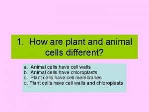 1 How are plant and animal cells different