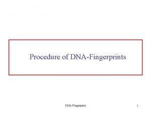 Procedure of DNAFingerprints DNAFingerprint 1 Tubes for each