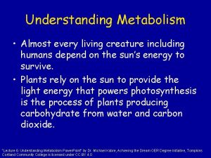 Understanding Metabolism Almost every living creature including humans