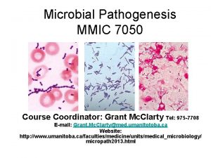 Microbial Pathogenesis MMIC 7050 Course Coordinator Grant Mc