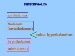 DIENCEPHALON epithalamus metathalamus sulcus hypothalamicus hypothalamus subthalamus THALAMIC