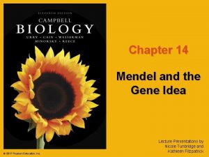 Chapter 14 Mendel and the Gene Idea 2017