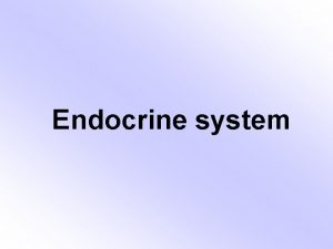 Endocrine system Cells tissues and organs that synthesize