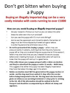 Dont get bitten when buying a Puppy Buying