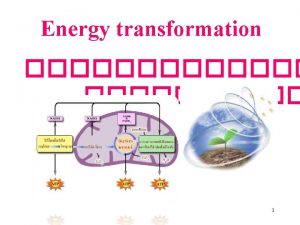 Energy transformation 1 ATP ATP Phosphorylation 1 Oxidative