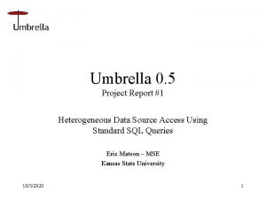 Smart umbrella project report