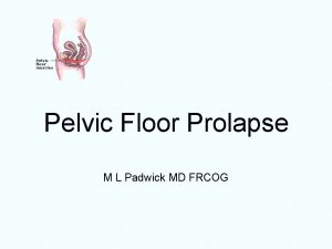 Pelvic Floor Prolapse M L Padwick MD FRCOG