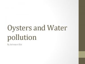 Oysters and Water pollution By Johnson Obi Water