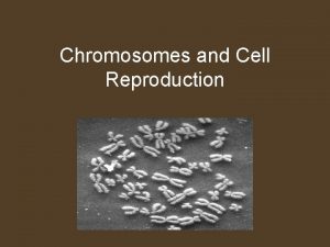 Chromosomes and Cell Reproduction Cell Growth Most living