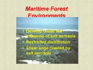 Maritime forest definition