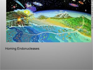 Mural at NASA Ames Research Center Homing Endonucleases