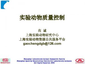 gaochengdgb126 com Shanghai Laboratory Animal Research Centre Shanghai