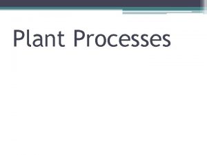 Plant processes