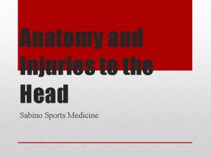 Anatomy and Injuries to the Head Sabino Sports