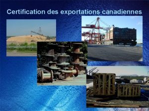 Certification des exportations canadiennes Politiques sur les exportations