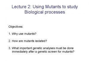 Lecture 2 Using Mutants to study Biological processes