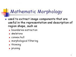 Mathematic Morphology n used to extract image components